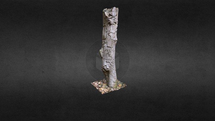 The Animal Tree 3D Model