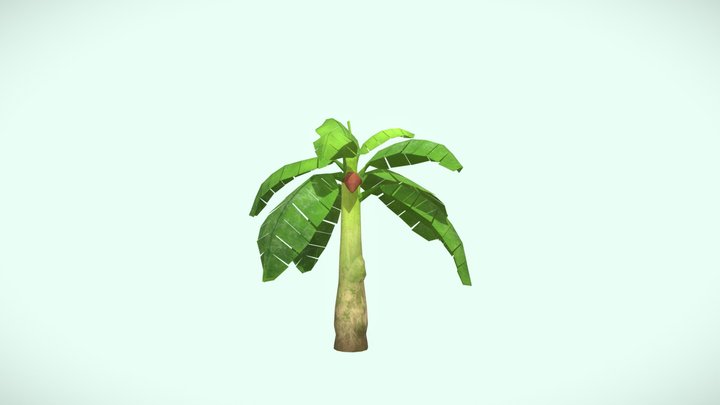 Banana Tree - Low Polygon 3D Model