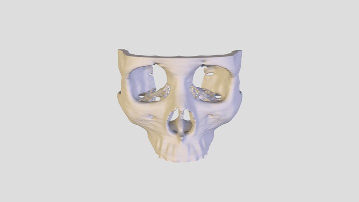 凱菲_陳惠斐 3D Model