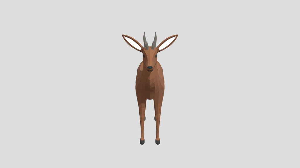 Four Horned Antelope