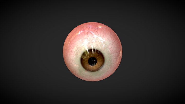 Game Ready Eye 3D Model