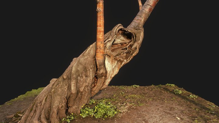 Tree trunk - Gorky Park – Modello 3D gratuito STL