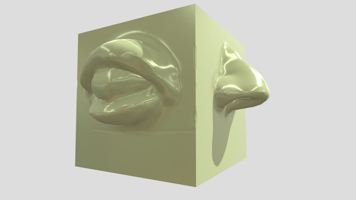 EricaCalihua_AnatomyCube-001_obj+ 3D Model