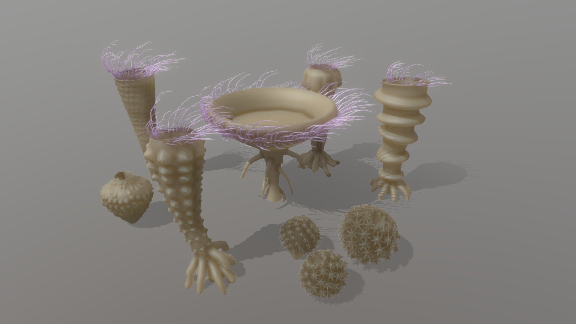 Archaeocyatha - 3D model by Paleobiome [2f6dd7e] - Sketchfab