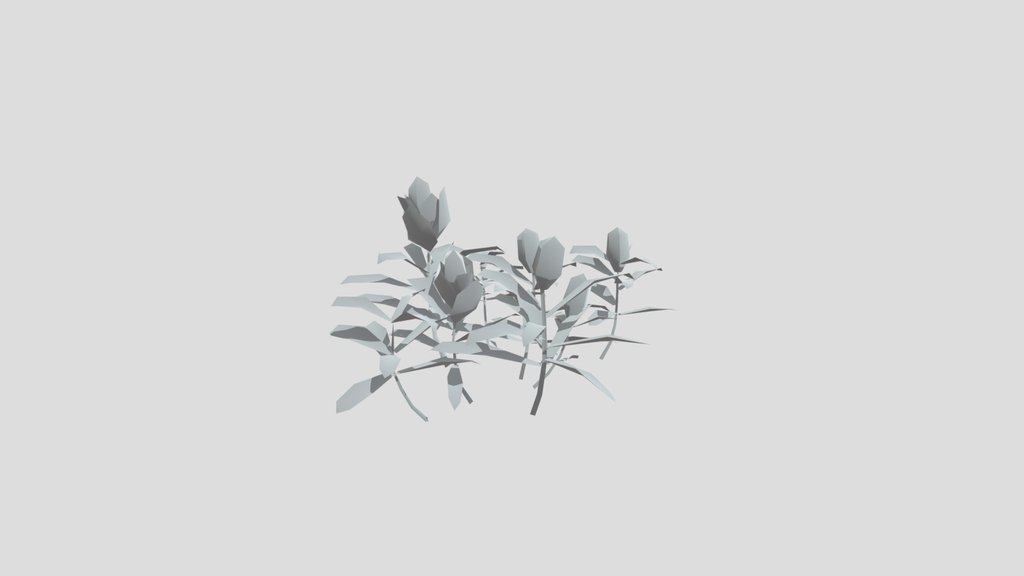 Plant Indian Paintbrush Large