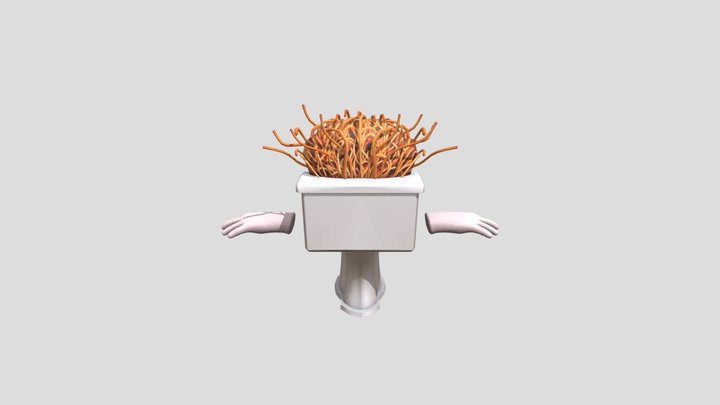 Spaghetti Tualetti (brainrot evo) 3D Model