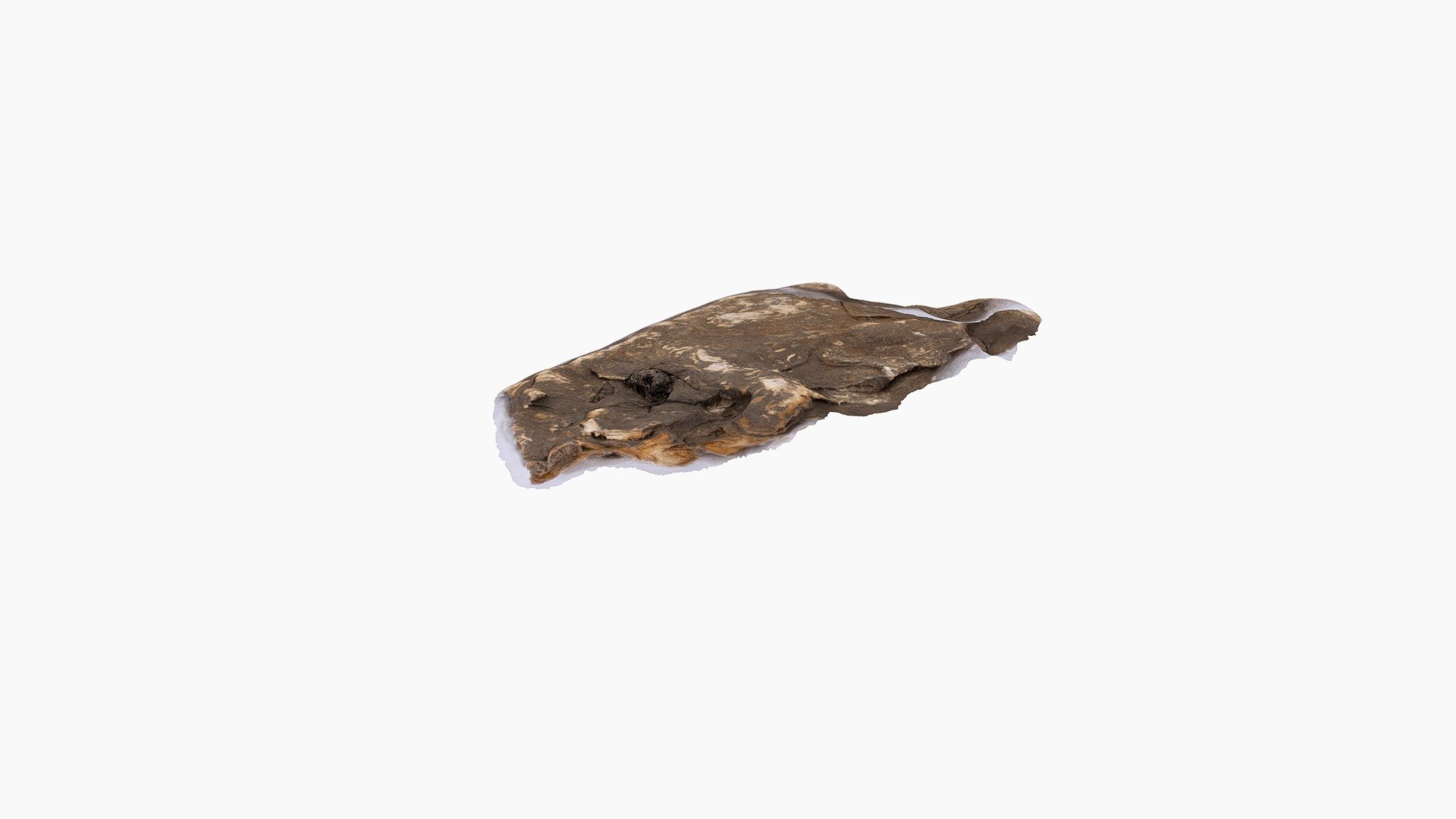 Sedimentary Sample