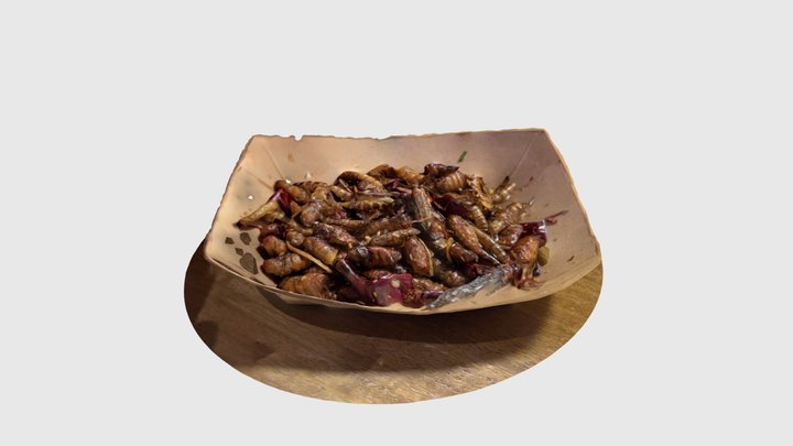 Fried Insects