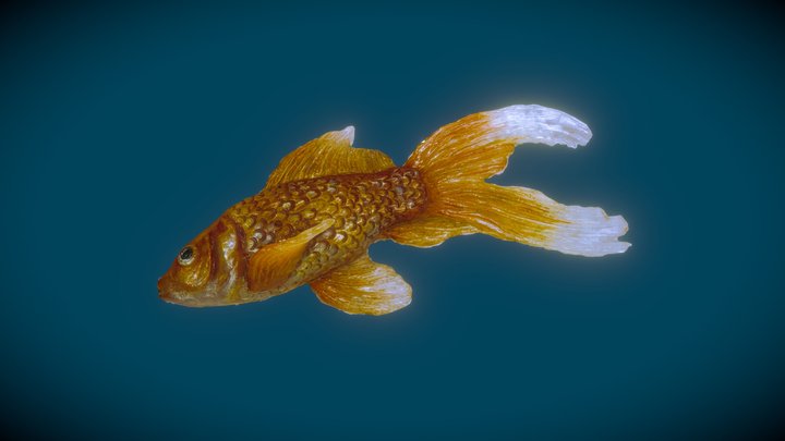 Half Goldfish Prop 3D Scan 3D Model