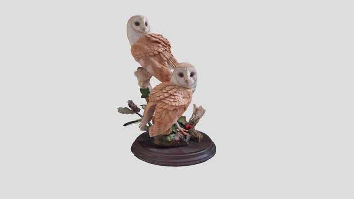 Barn Owls 3D Model