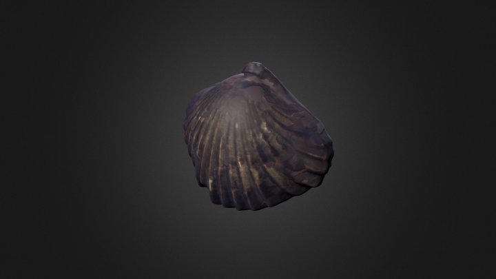 Quadratirhynchia crassimedia (NMW 26.135.G292) 3D Model