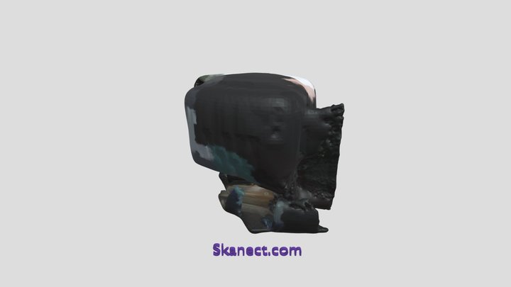 New Skanect Model 3D Model