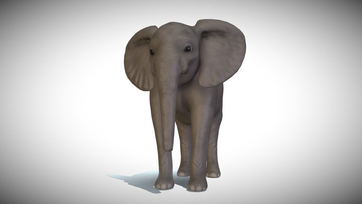 Baby Elephant model 3D Model