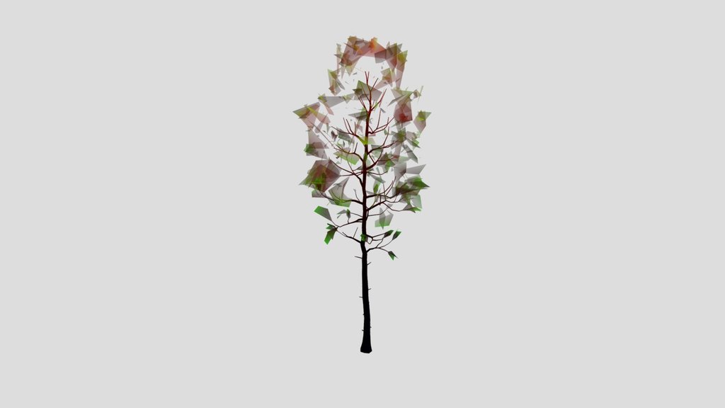 Black Alder Tall