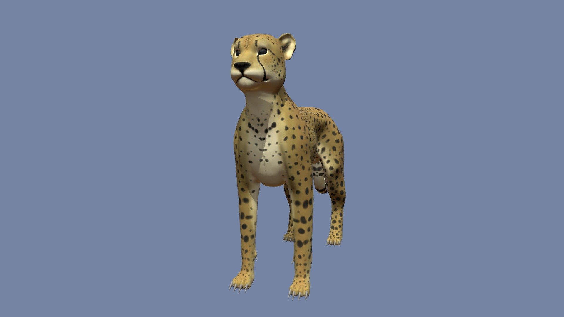 Cheetah