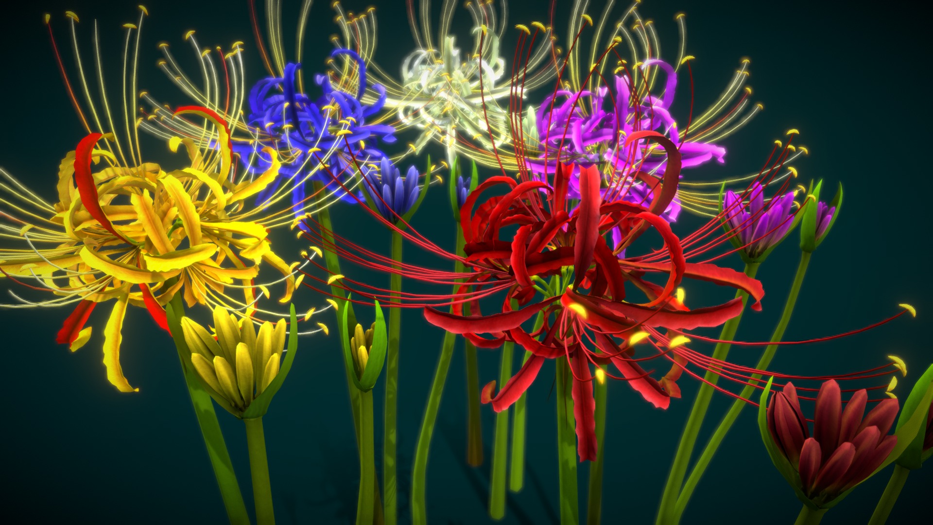 3D model Flower Lycoris Radiata - This is a 3D model of the Flower Lycoris Radiata. The 3D model is about a group of colorful flowers.