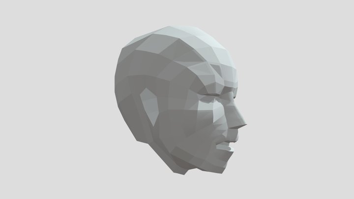 Head Mesh 3D Model