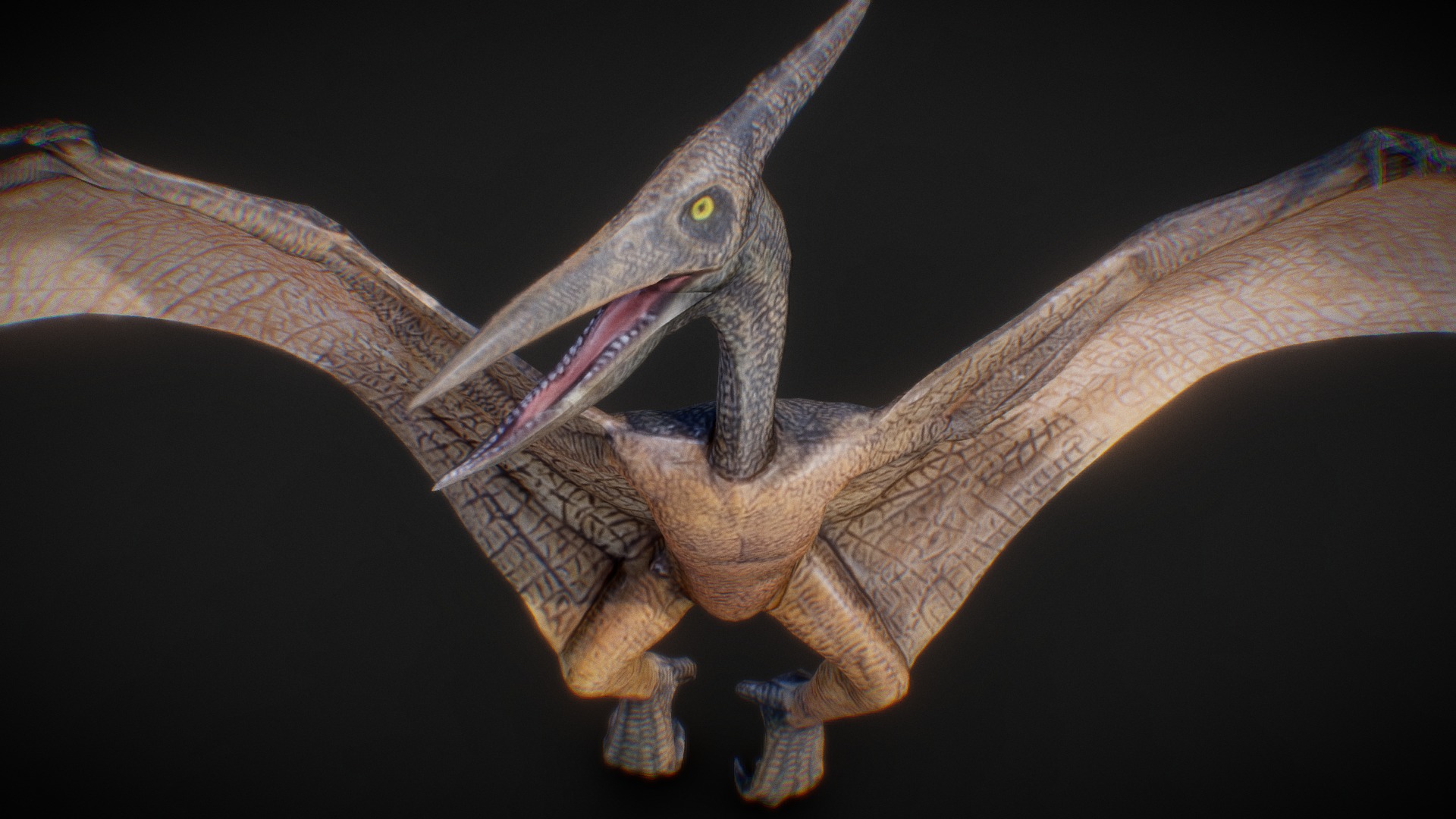 3D model Pterodactylus - This is a 3D model of the Pterodactylus. The 3D model is about a lizard with a long tail.