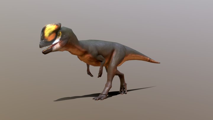 Low Poly Dilophosaurus + Animated walk cycle 3D Model