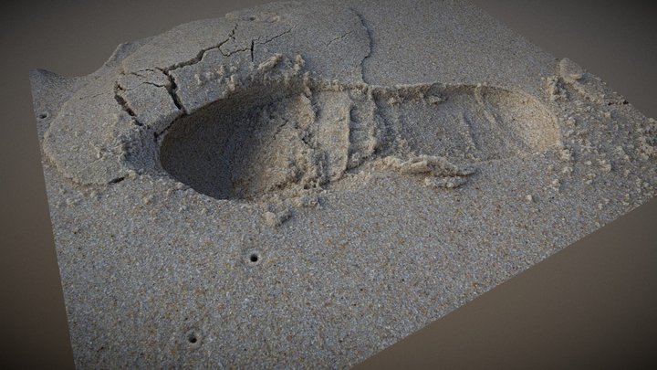 Footstep on sand 3D Model