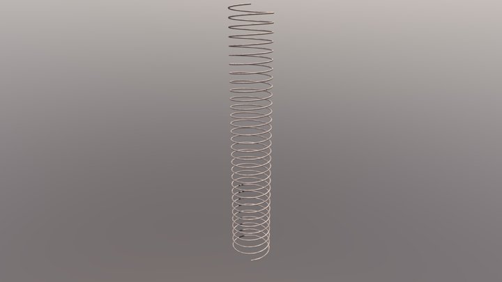 Spring #4 3D Model