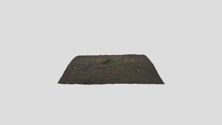 Small Moss Rock on Gravel Path 3D Model