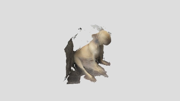 dog 5 - 3dsa 3D Model