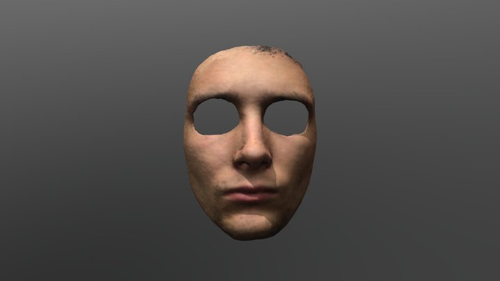 Face Mask 3D Model
