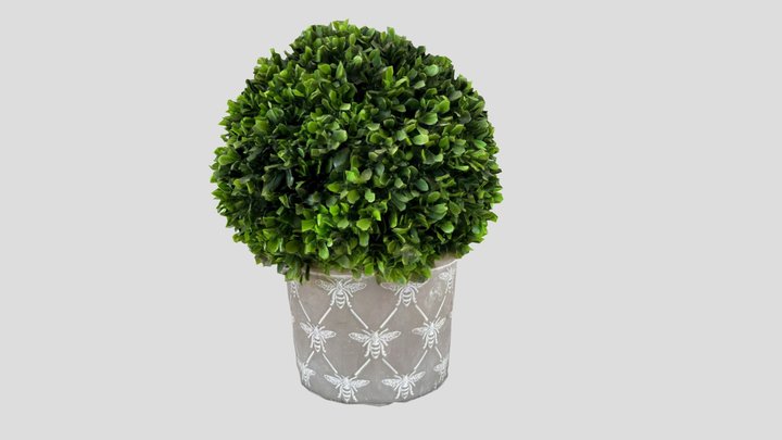 Plant in bee pot 3D Model