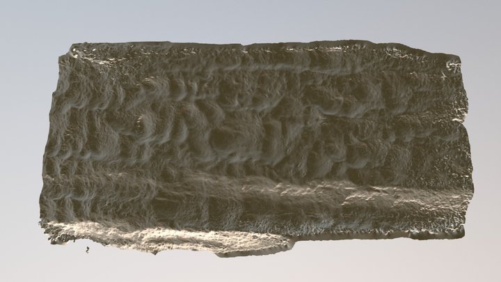 Boonescallops78 3D Model