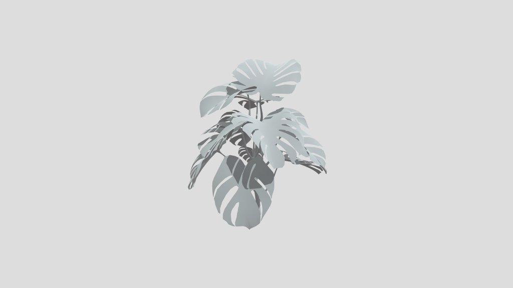 Monestera Plant Tall
