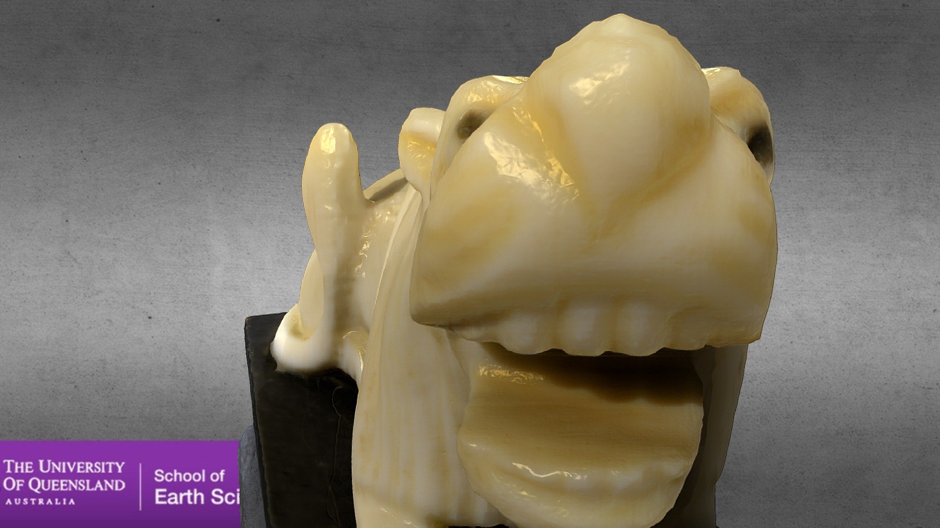 Ivory Lion Carving 3D model by nate_siddle (nate_sid) [2f977d8