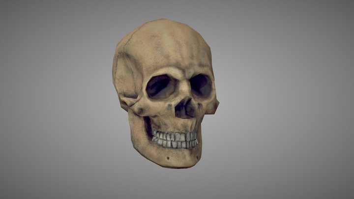 Human skull_LP 3D Model