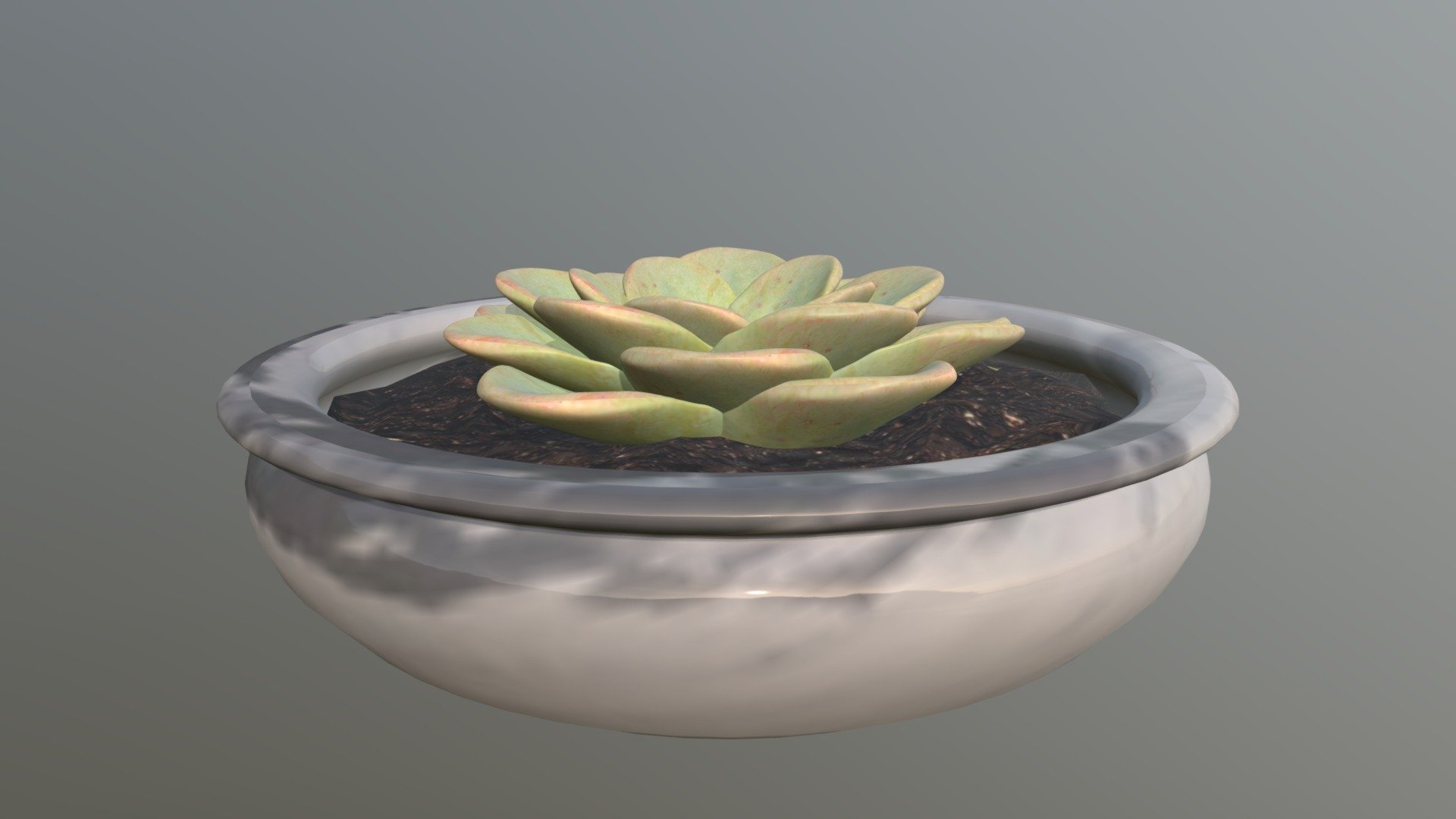 Plant