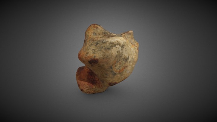 Lucy AL 288-1 AS 3D Model