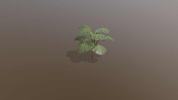 Tropical Plant monstera deliciosa 3D Model