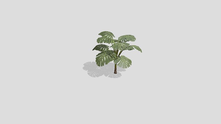 Tropical Plant monstera deliciosa – Modello 3D gratuito STL