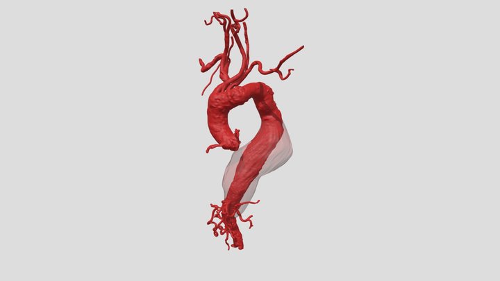 A24PAM26052021_REV01 3D Model