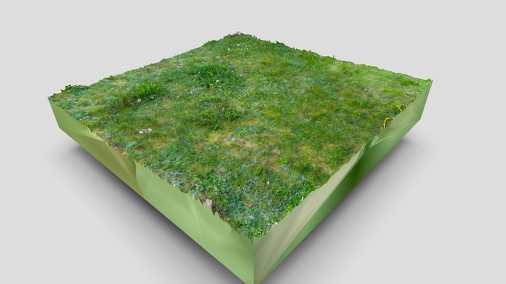 Trawa - Grass 3D Model