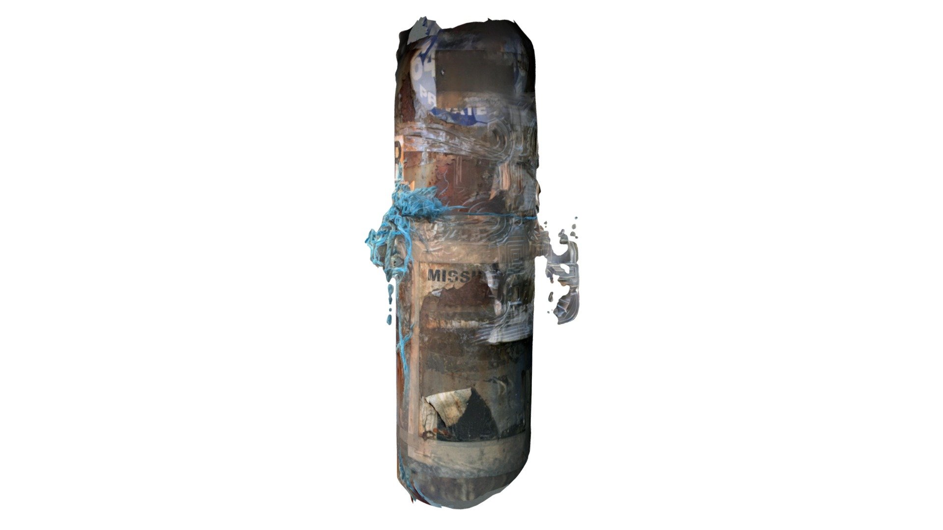 Glasgow pole with plastic