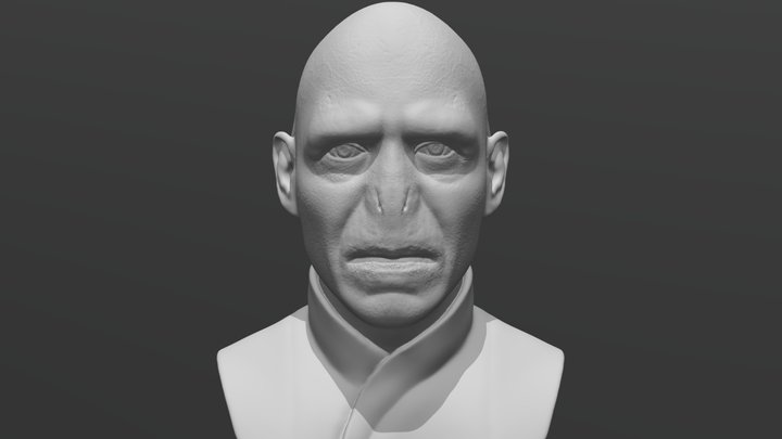 Lord Voldemort bust for 3 printing 3D Model