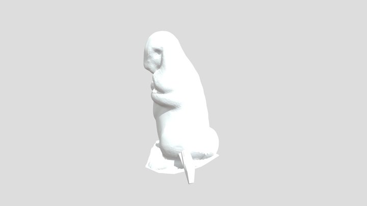 Conejo3D 3D Model