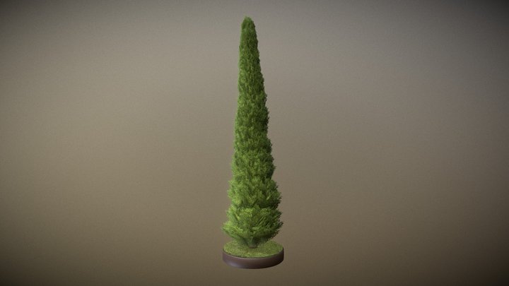 Cypress - Version 12 - 8 Meter 3D Model