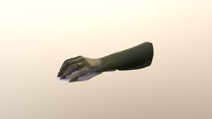 היד של נוי 3D Model