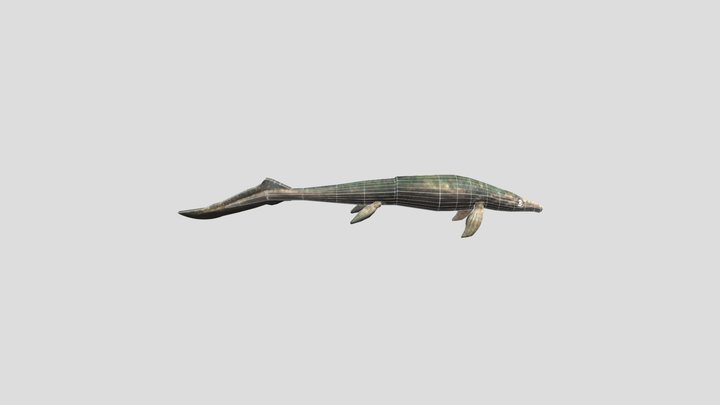 Cymbospondylus 3D Model