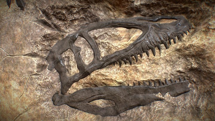 Aegyptiacus Chamber - Skeleton Wall variation 2 3D Model