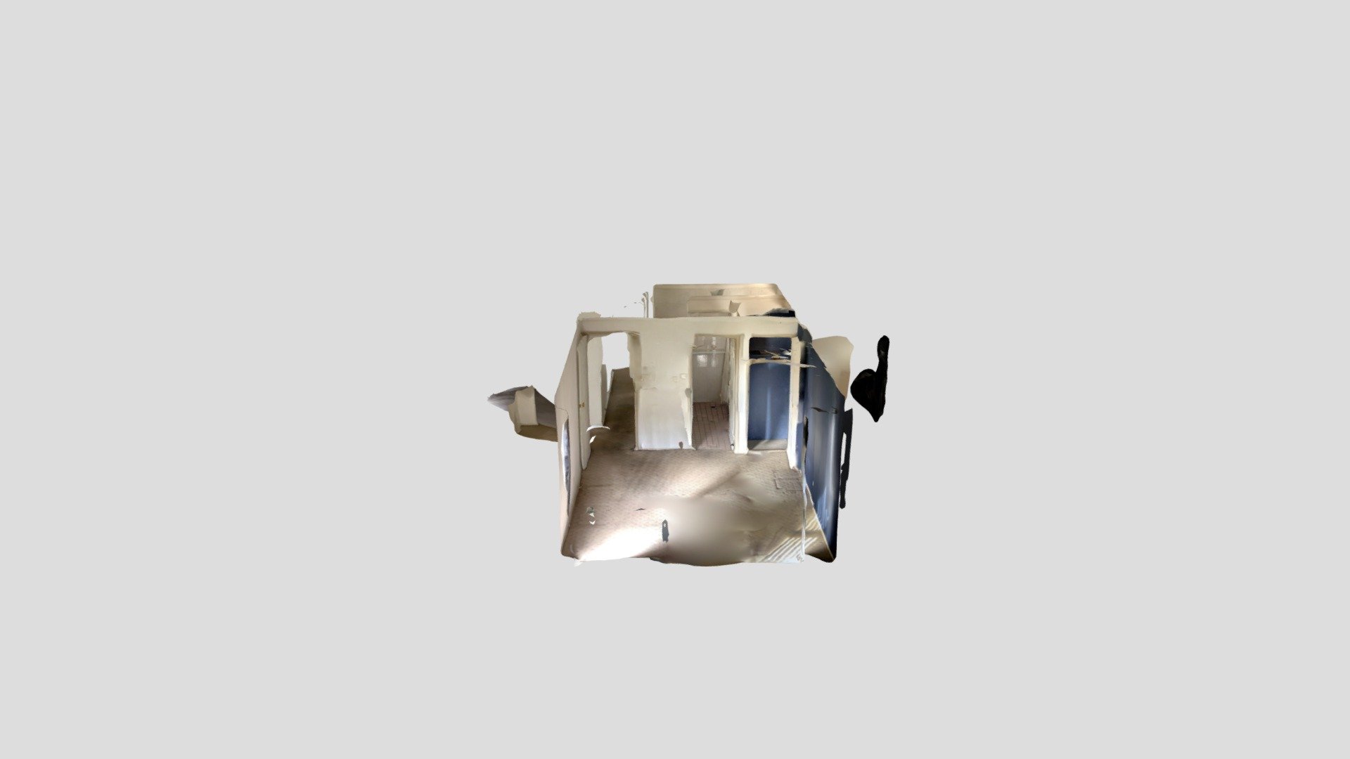 Polycam capture