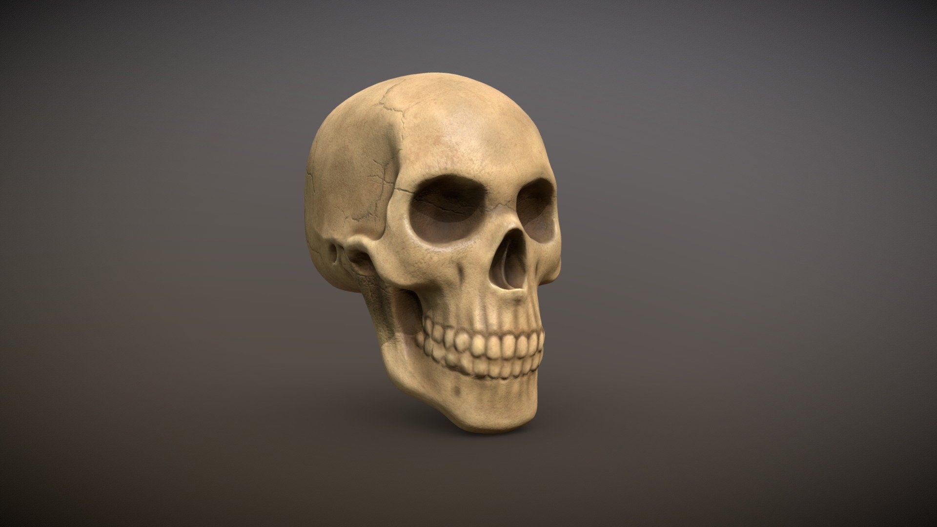 Skull