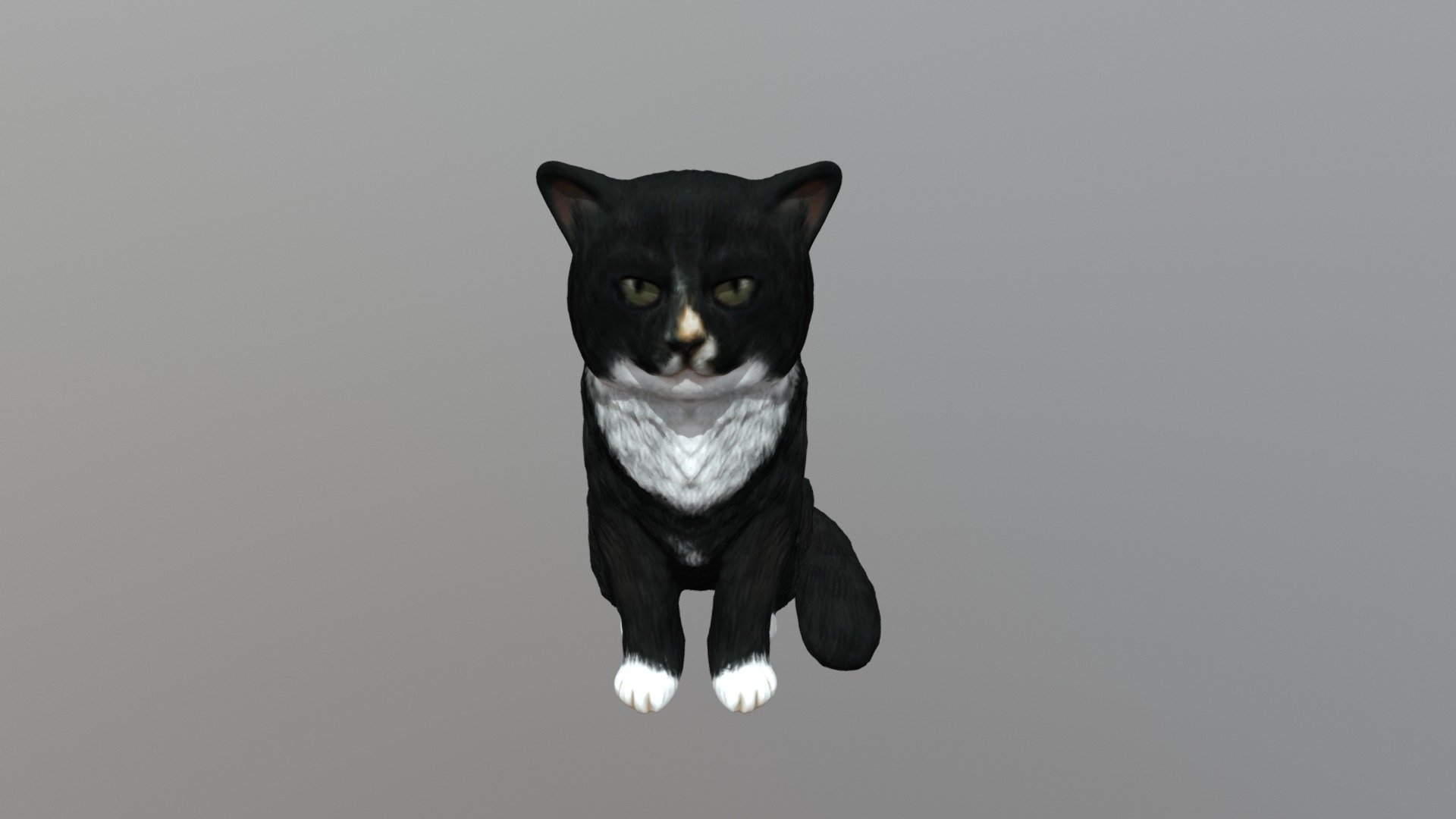 Molly- Cat- Ben Bergs 5 - 3D model by MattJdraws [2fb9394] - Sketchfab