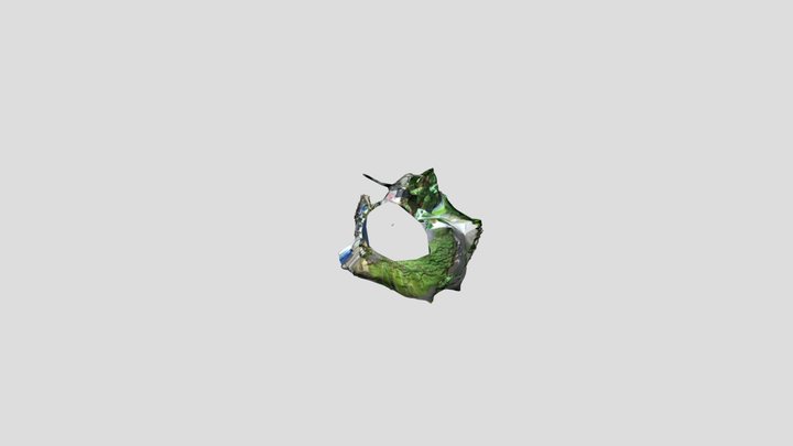 Hule Asiatico 3D Model